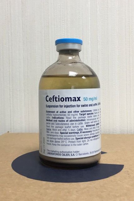 Ceftiomax – Kháng sinh thế hệ mới